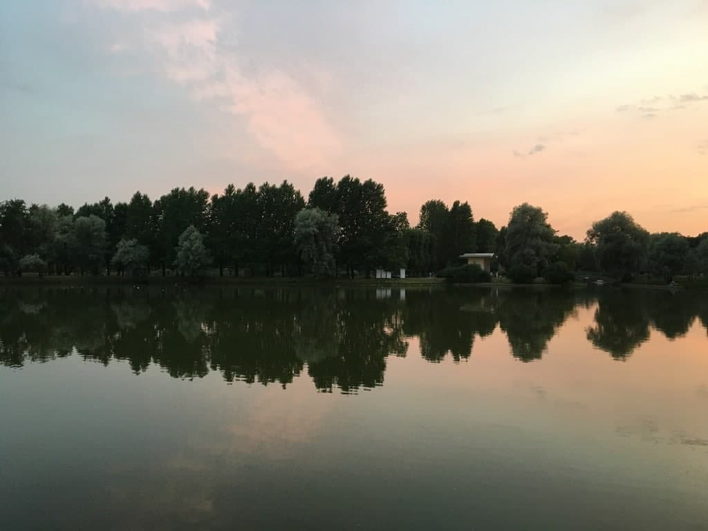 озеро и деревья на закате